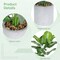 Artificial Plant in Pot for Indoor Fake Potted Plants for Office Desk Shelf Bathroom Home Farmhouse Decor